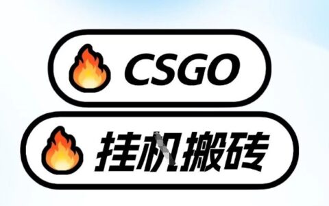 真全网独家CSGO挂G，最新玩法,单日捡漏1K+，不用电脑，不用打游戏【揭秘】
