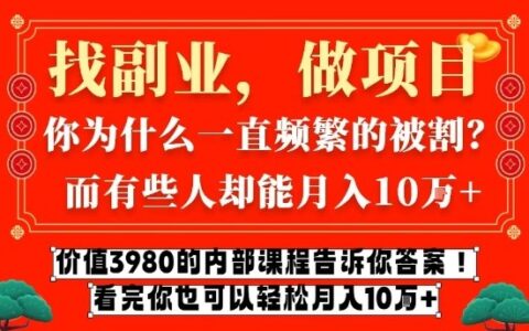 价值3980的网创内部课程，告诉你互联网创业月入10个W的秘密【揭秘】