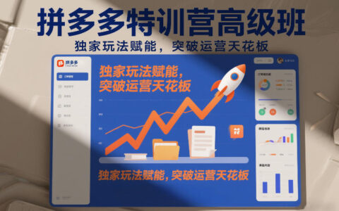 拼多多特训营高阶班，独家玩法赋能，突破运营天花板（更新26年1月）