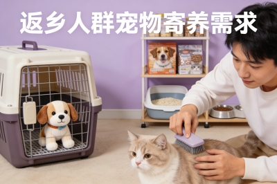 宠物寄养需求爆发