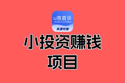 小投资赚钱项目