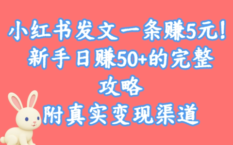 每天花1小时在小红书发文，真的能每条赚5元？变现渠道与避坑指南
