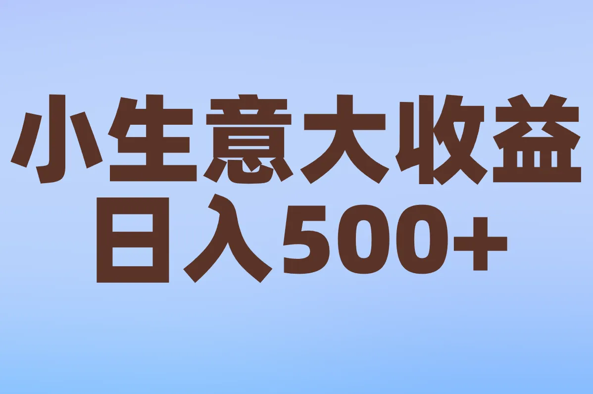 小生意大收益 日入500+