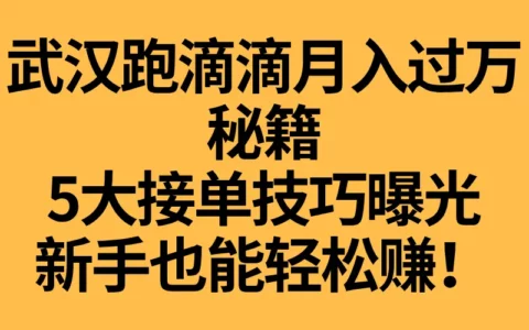在武汉跑滴滴一个月能挣多少？掌握这5个接单技巧，月收入真的能破万吗