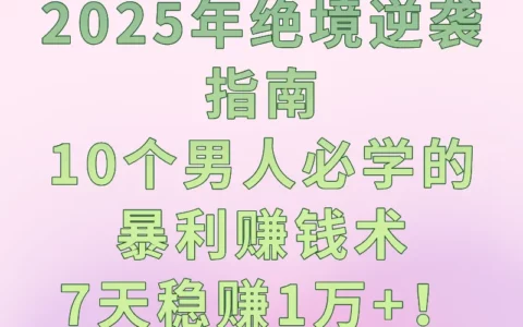 2025年男人走投无路怎么办？10个可实操项目教你7天快速变现