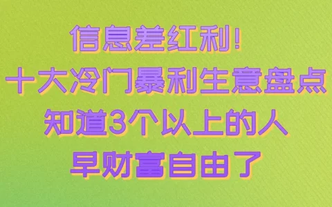 2025年被低估的10个冷门暴利项目：小投入高回报的实操全攻略（附步骤）