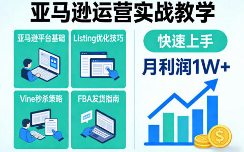 亚马逊运营实战教学，亚马逊平台+Listing优化+Vine秒杀+FBA发货等，快速上手，实现店铺月利润1W
