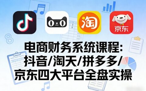 电商财务系统课程，覆盖抖音、淘天、拼多多、京东四大主流平台的全盘实操