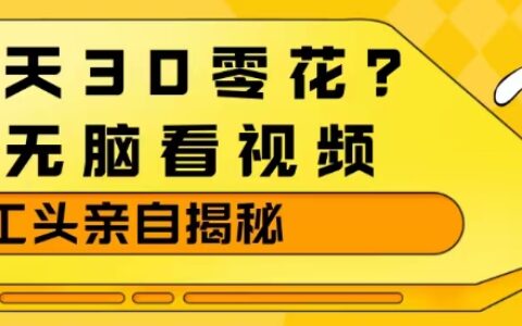 1天30零花？无脑看视频，大佬亲自揭秘