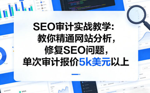 SEO审计实战教学：教你精通网站分析，修复SEO问题，单次审计报价5k美元以上