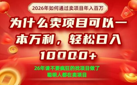 一单净利润1K+，26年想年入100个W，死磕卖项目就够了【揭秘】