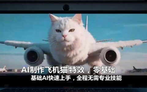 AI制作飞机猫特效，零基础AI快速上手，全程无需专业技能