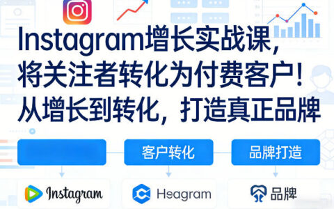 Instagram增长实战课，将关注者转化为付费客户！从增长到转化，打造真正品牌（双语字幕）