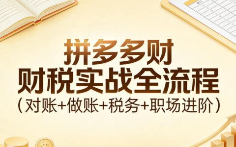 拼多多财税实战全流程（对账+做账+税务+职场进阶）
