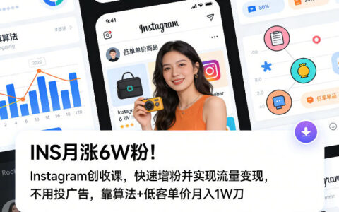 INS月涨6W粉！Instagram创收课，快速增粉并实现流量变现，不用用投广告，靠算法+低客单价月入1W刀