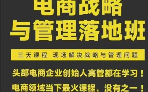 2026蒋晖电商战略与管理落地班（不是视频课，是文档课）