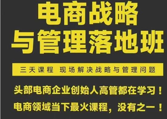 2026蒋晖电商战略与管理落地班（不是视频课，是文档课）