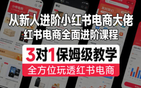 从新人进阶小红书电商大佬，红书电商全面进阶课程，3对1保姆级教学，全方位玩透红书电商