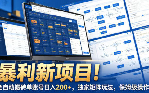 暴利新项目！全自动搬砖单账号日入200+，独家矩阵玩法，保姆级操作【揭秘】