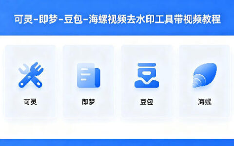 可灵–即梦–豆包–海螺视频去水印工具带视频教程