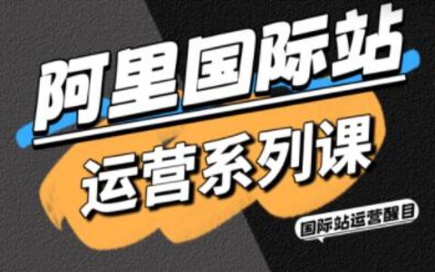 醒目老师：阿里国际站运营系列课 – 从0到1掌握平台运营核心技巧