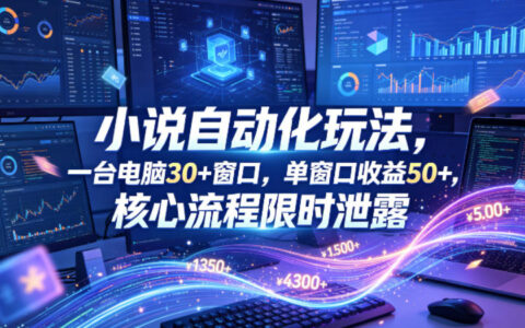 小说挂G自动化玩法，一台电脑30+窗口，单窗口收益50+，核心流程限时泄露【揭秘】