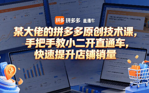 某大佬的拼多多原创技术课，手把手教小二开直通车，快速提升店铺销量