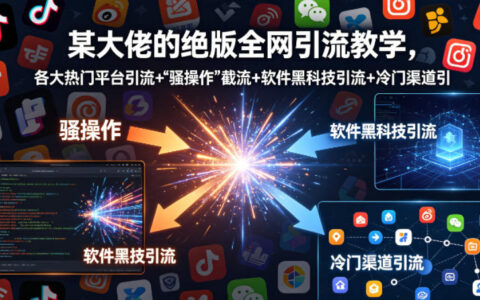 某大佬的绝版全网引流教学，各大热门平台引流+”骚操作”截流+软件黑科技引流+冷门渠道引流等