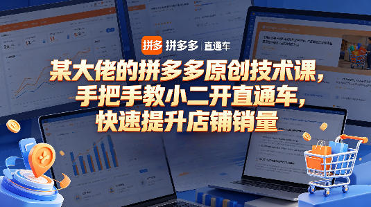 某大佬的拼多多原创技术课，手把手教小二开直通车，快速提升店铺销量