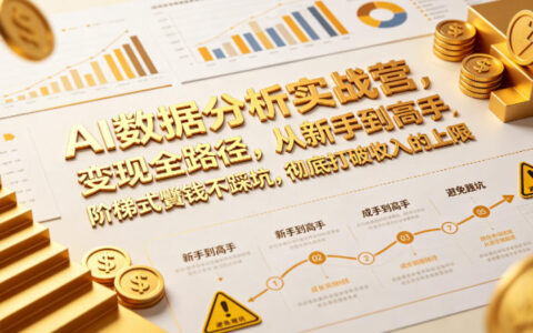 AI数据分析实战营，变现全路径，从新手到高手，阶梯式賺钱不踩坑，彻底打破收入的上限