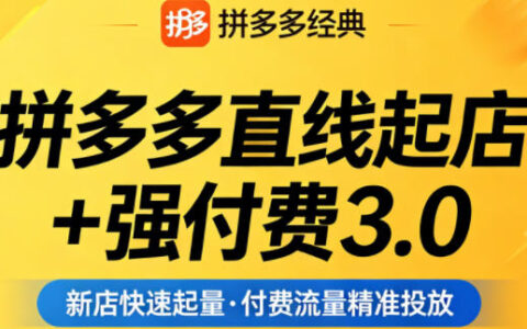 拼多多直线起店+强付费3.0，教你稳定起店、高效控投产、破解流量瓶颈（更新4月）