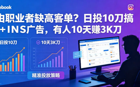 自由职业者缺高客单？日投10刀搞FB+INS广告，有人10天赚3K刀！【原创双语字幕】
