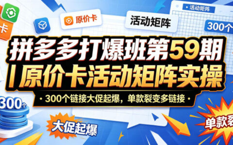 拼多多打爆班第59期｜原价卡活动矩阵实操，300个链接大促起爆，单款裂变多链接