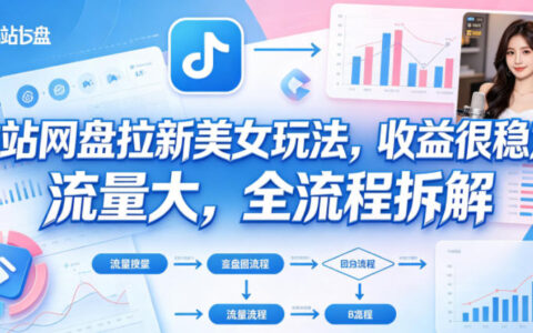 B站网盘拉新美女玩法，收益很稳定，流量大，全流程拆解