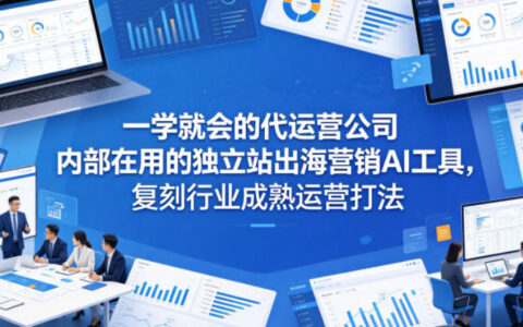 一学就会的代运营公司内部在用的独立站出海营销AI工具，复刻行业成熟运营打法