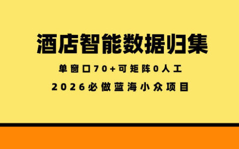 酒店智能数据归集，小众蓝海已经稳定半年之久，单窗口70+零成本矩阵开干【揭秘】