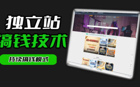 干货来袭！麦子甜带你吃透独立站｜从搭建到引流一站式教学《独立站》第一期