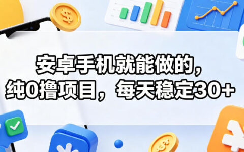 安卓手机就能做的，纯0撸项目，每天稳定30+