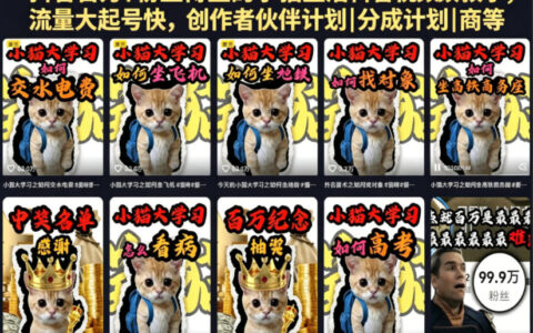 抖音百万粉丝博主的小猫生活科普视频教学，流量大起号快，创作者伙伴计划|分成计划|商单|收徒等