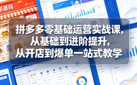 拼多多零基础运营实战课，从基础到进阶提升，从开店到爆单一站式教学