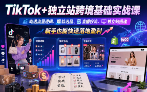 TikTok+独立站跨境基础实战课，吃透流量逻辑、爆款选品、直播投流与独立站搭建，新手也能快速落地盈利