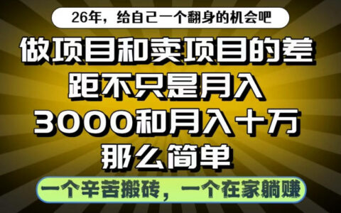 做项目和卖项目不只是“月入3K”和“10W”那么简单：搬砖式努力与躺赚式运营真相揭秘