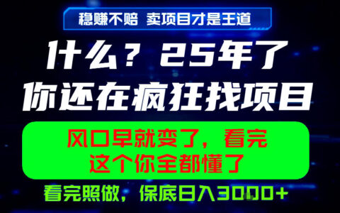 26年别再疯狂找项目了！学会卖项目才是稳赚之道，照做保底日入1k+【揭秘】