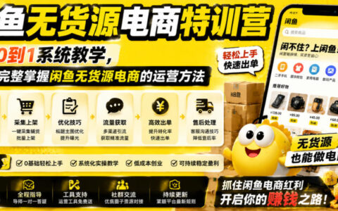 如何从0到1在闲鱼做无货源电商？系统化运营特训营手把手教学