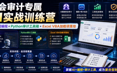财会审计人的AI实战训练营：手把手落地AI协同编程、Python审计工具箱与Excel VBA加载项