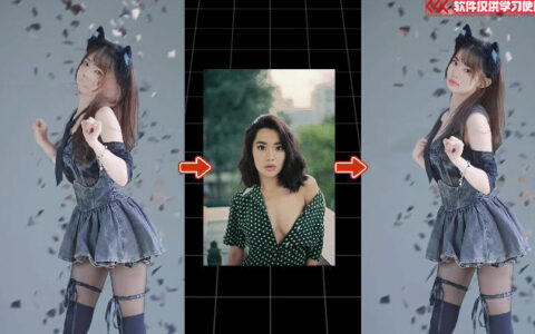 AI这么夸张？一键视频换脸黑科技来了：纯本地离线运行的 AI FaceSwap 娱乐工具