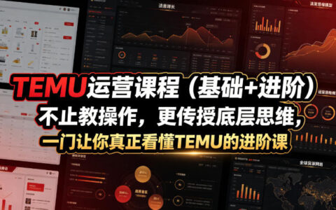 从操作到底层思维：一门让你真正看懂TEMU的基础+进阶运营课