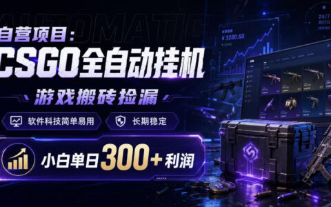 揭秘CSGO全自动挂G与游戏搬砖捡漏：简单上手的自营项目如何实现小白日赚300+