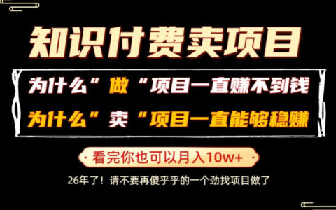 普通人如何通过卖项目实现月入10W+？揭秘卖项目比做项目更稳赚的底层逻辑