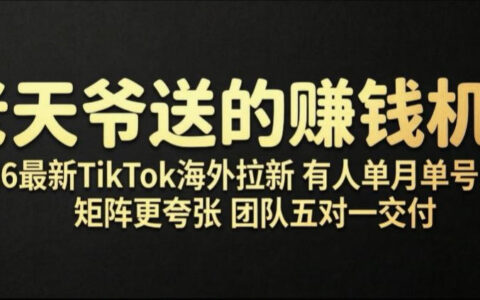 2026年最新TikTok海外拉新内幕：有人单号月入10W+，团队矩阵打法全解析